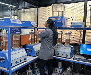 Triaxial test apparatus
